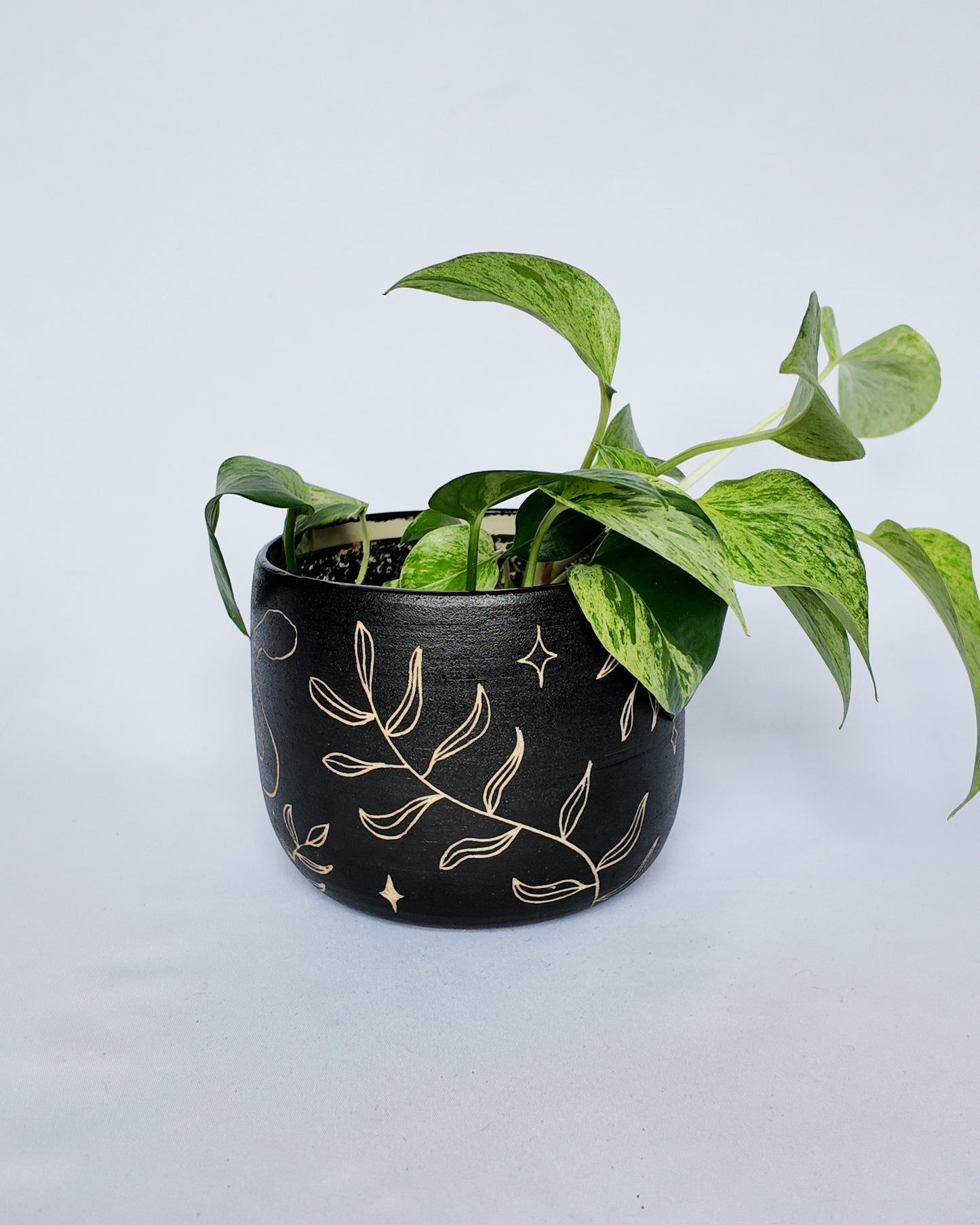 Sgraffito Planter - medium