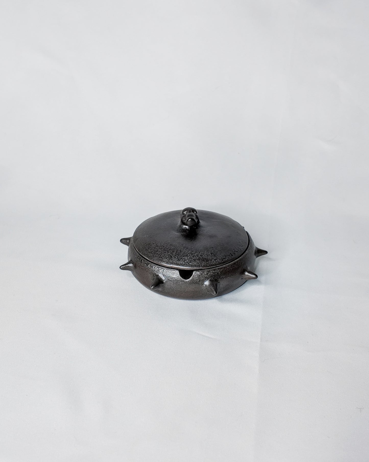 Spiky jewlery/ash tray