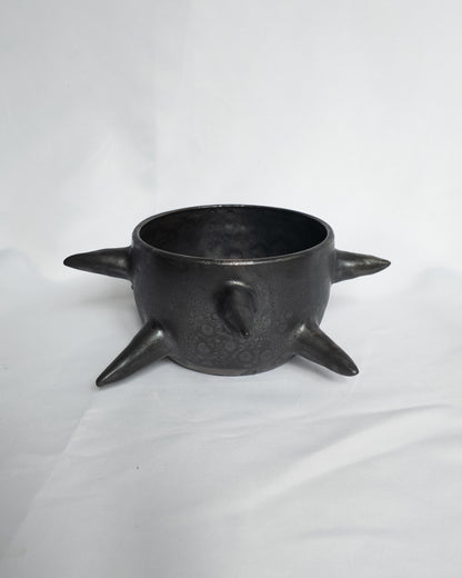Spiky planter