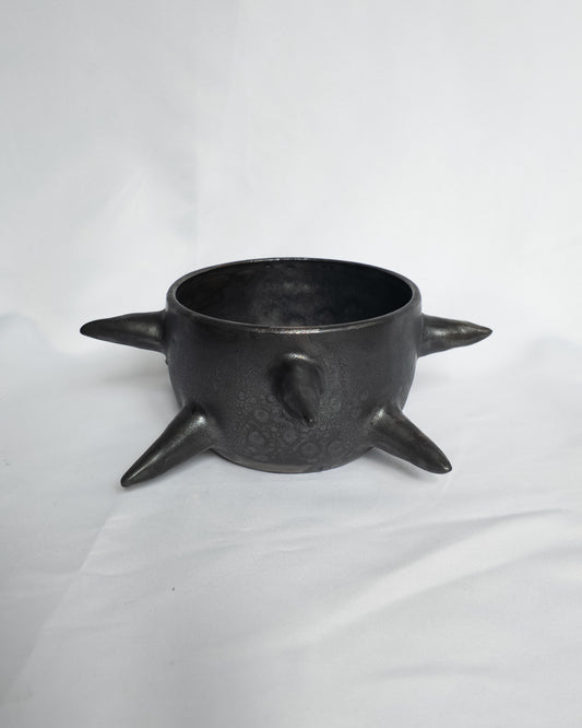 Spiky planter
