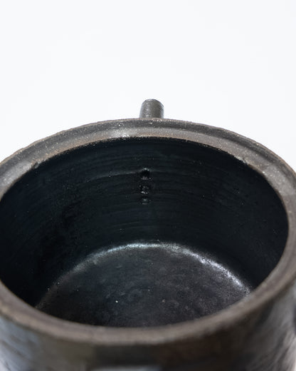 Spiky teapot